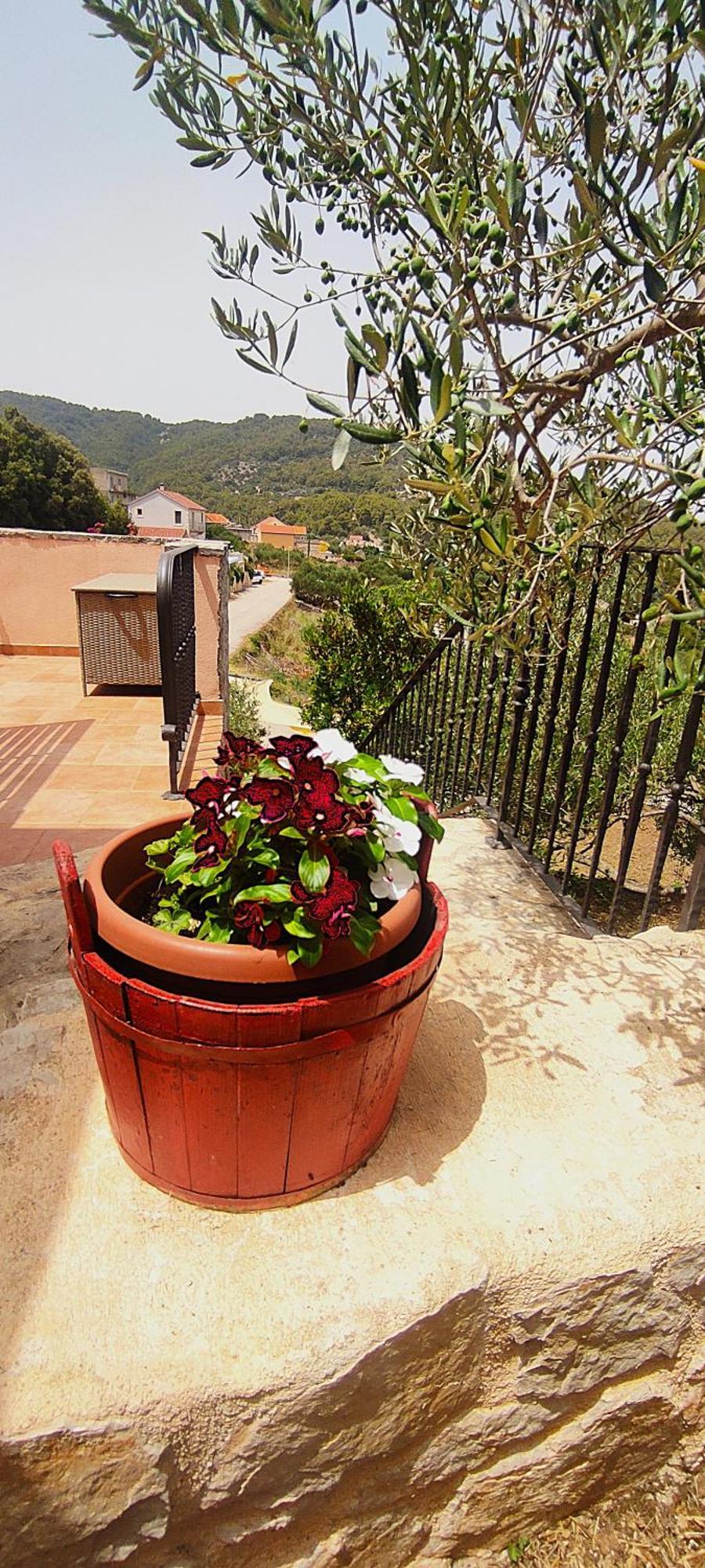 Merlo House Dol Hvar 스타리 그라드 외부 사진