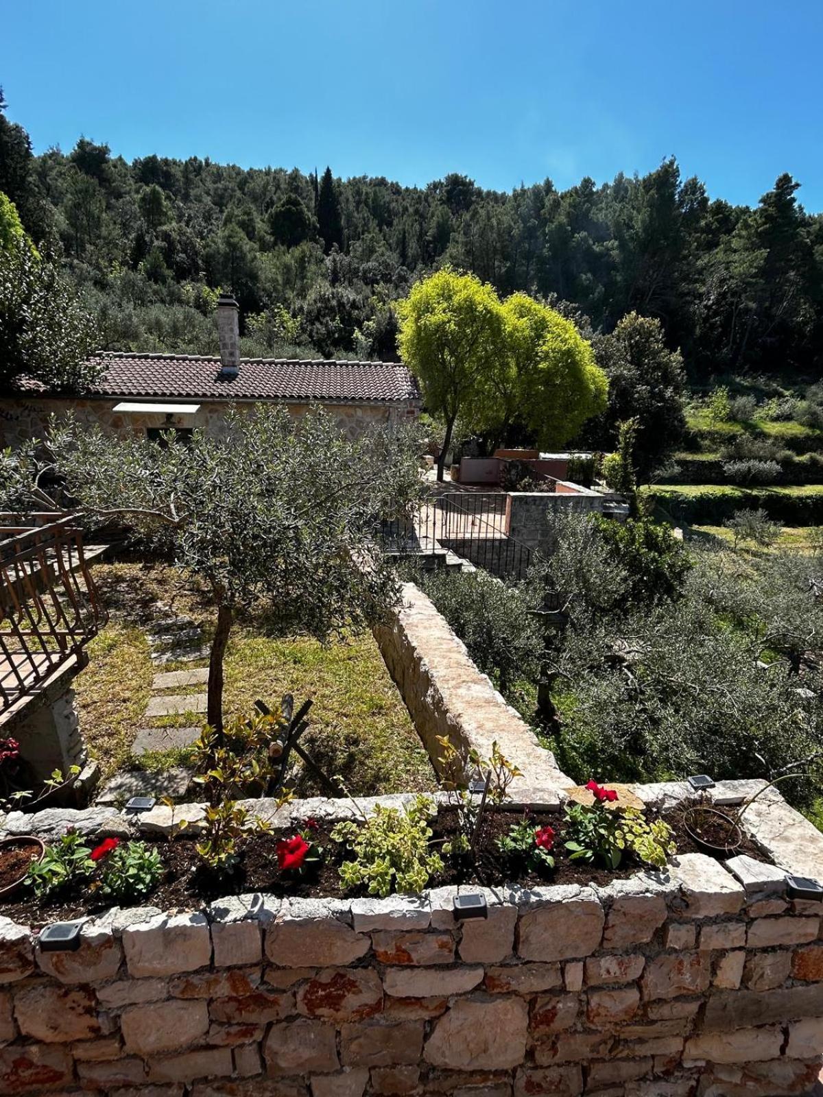 Merlo House Dol Hvar 스타리 그라드 외부 사진